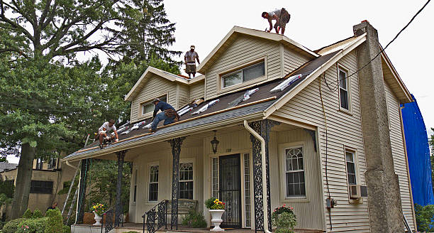 Best Flat Roof Repair Services  in Jefferson City, TN